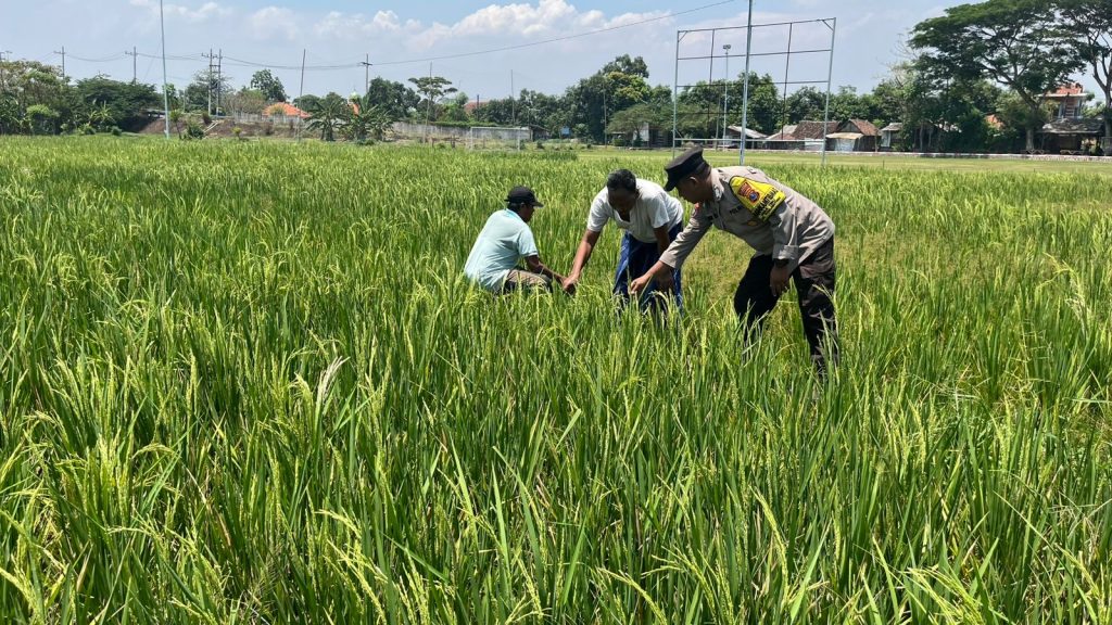 7eabf5be f808 40ab ba84 453d0fc01cf0