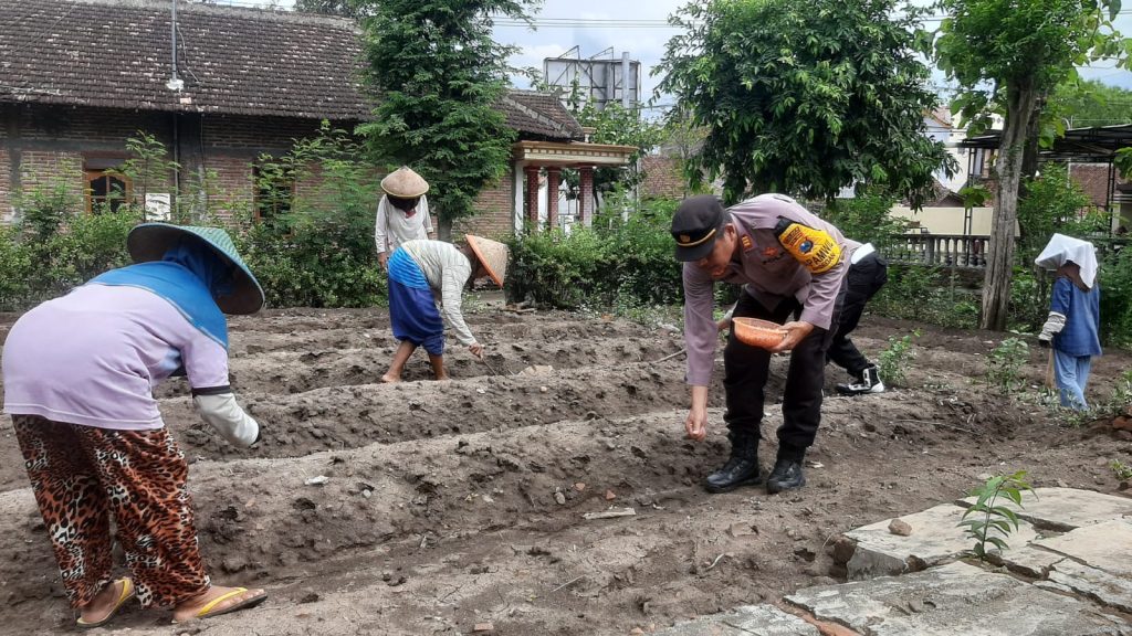 gambar whatsapp 2024 11 06 pukul 07.48.51 b1dc3455