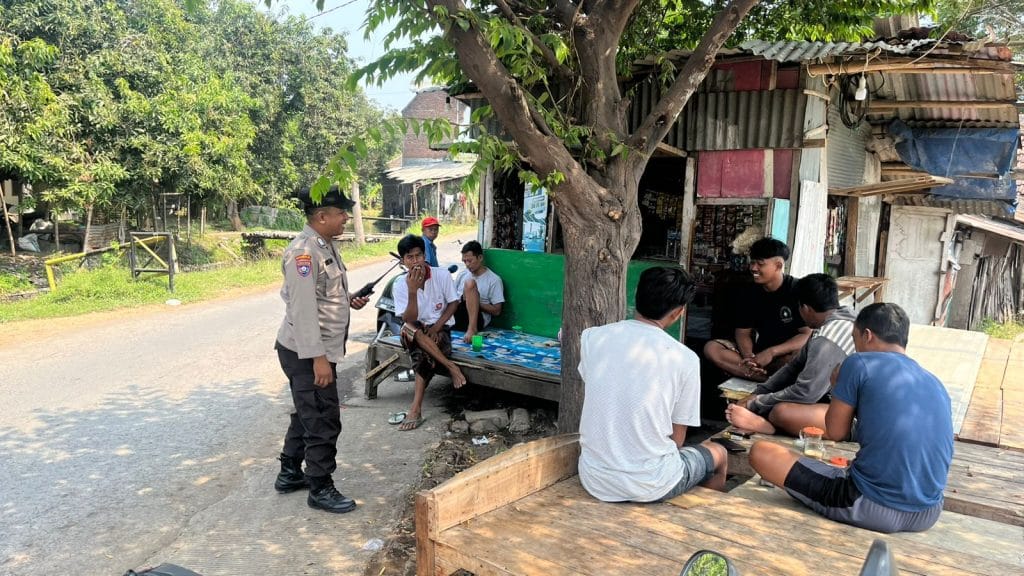 whatsapp image 2024 11 01 at 18.41.09 f6a44aec