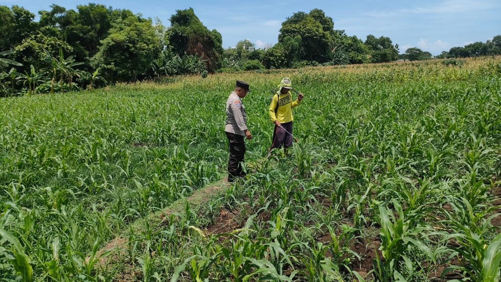 8466a04f ec32 4a68 95c7 7960a1d4bcd4