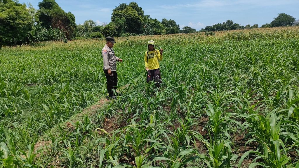 f4c259d0 1b33 4734 8927 ddd406a16dd8