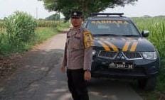 whatsapp image 2024 12 06 at 05.33.29