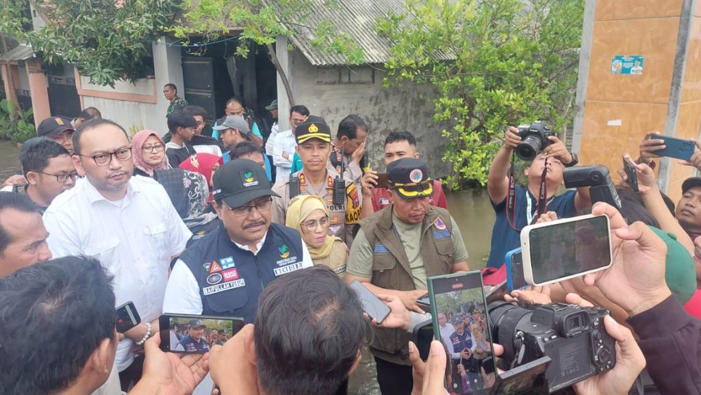 whatsapp image 2024 12 08 at 16.42.26