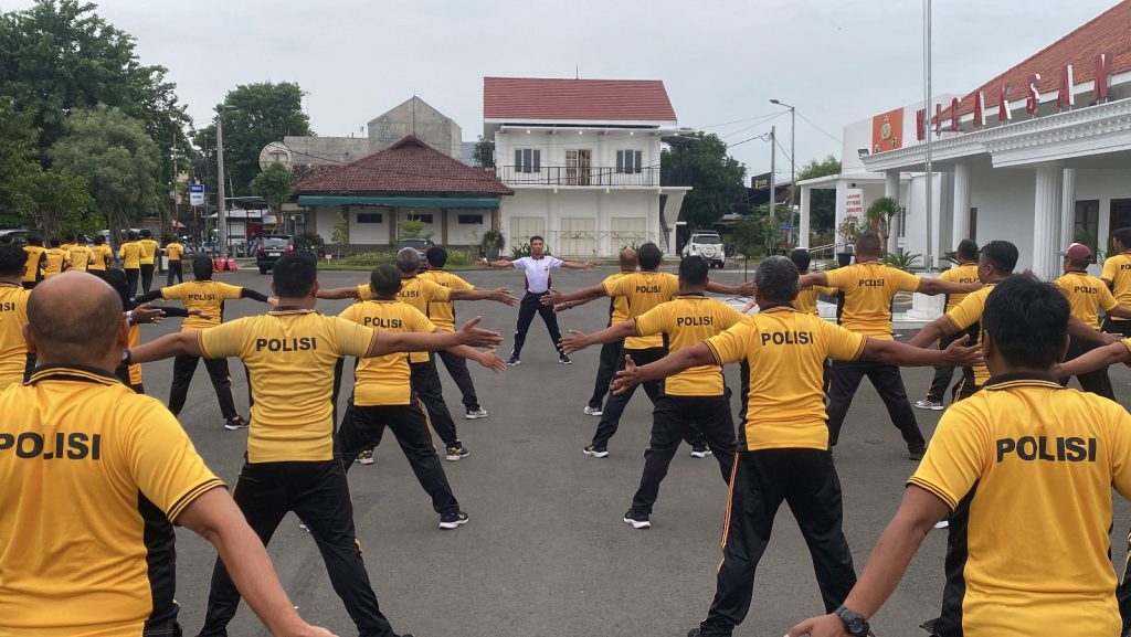 whatsapp image 2025 01 31 at 13.11.54