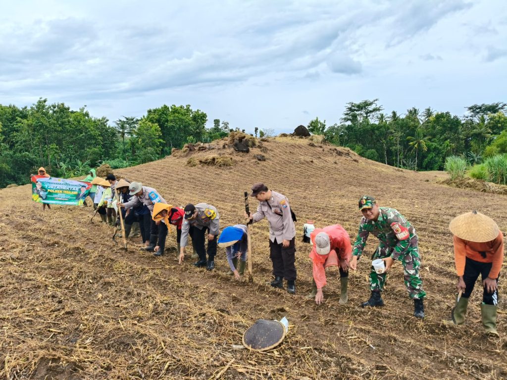 gambar whatsapp 2025 02 13 pukul 10.44.52 b2b08813