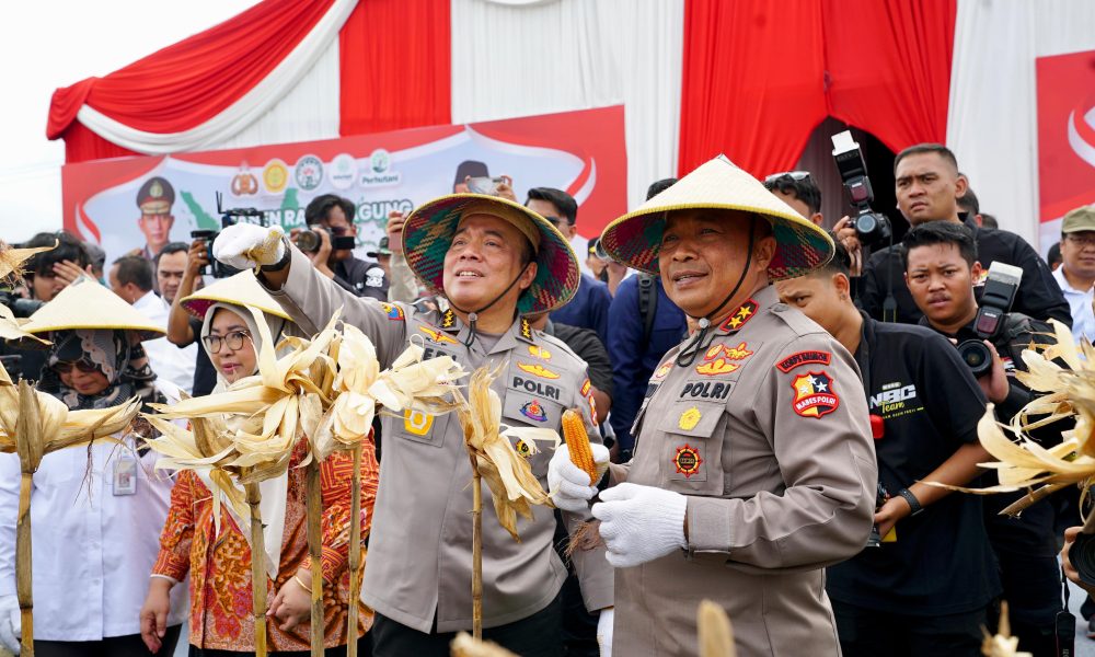 gambar whatsapp 2025 02 26 pukul 12.09.37 3736fcea