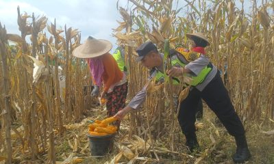 img 20250217 wa0053