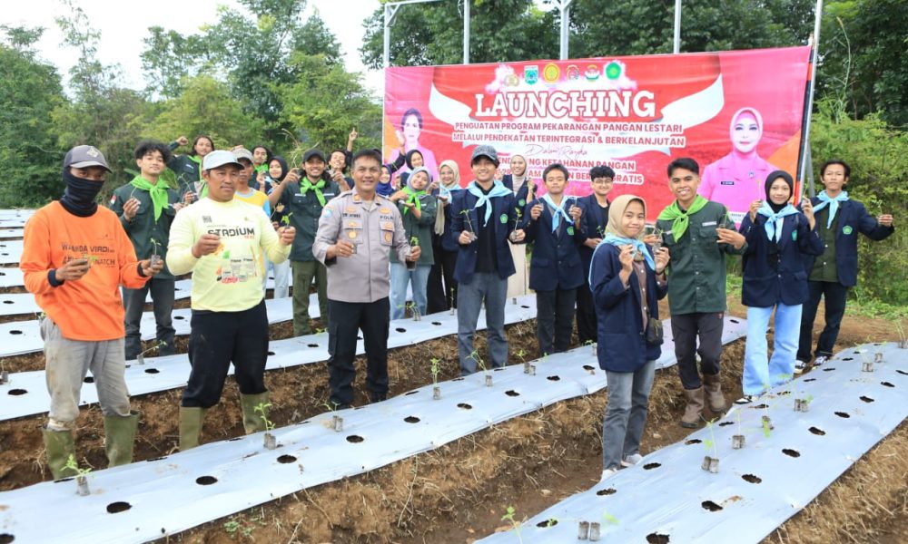 img 20250225 wa0008