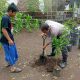 img 20250315 wa0012