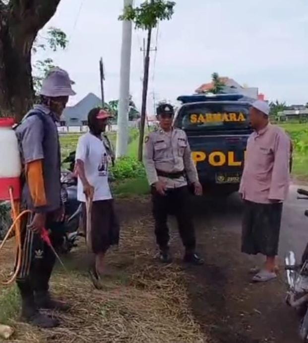 whatsapp image 2025 03 06 at 09.47.52