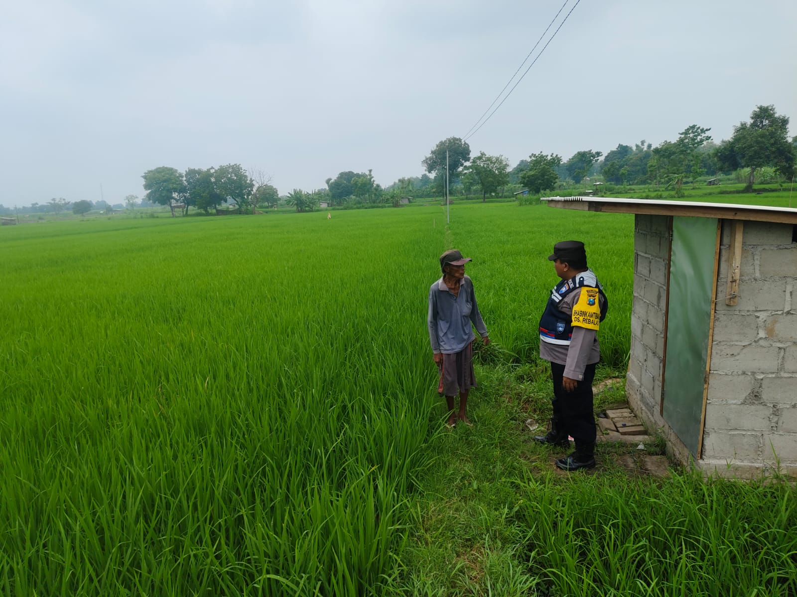 whatsapp image 2025 03 13 at 23.39.38