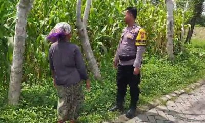 whatsapp image 2025 03 16 at 17.33.50