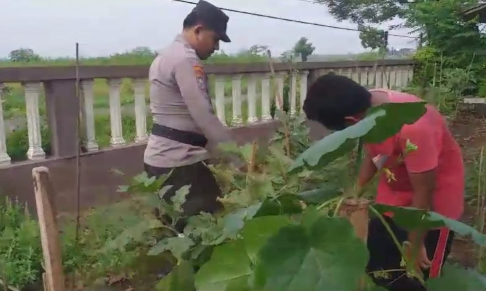 whatsapp image 2025 03 19 at 09.32.49