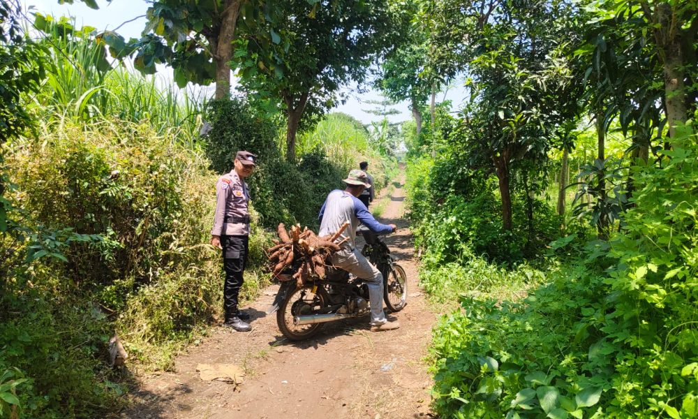 whatsapp image 2025 03 20 at 12.48.31