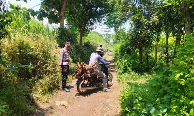 whatsapp image 2025 03 20 at 12.48.31