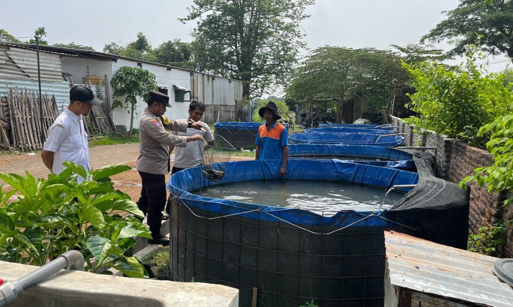 whatsapp image 2025 03 21 at 14.30.22 9d45d1e2