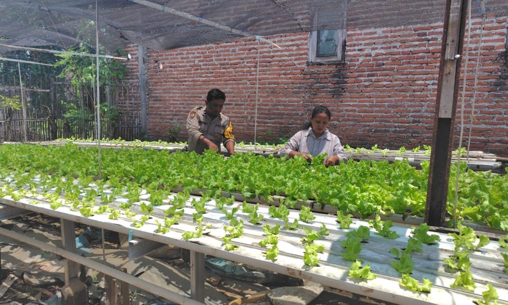 whatsapp image 2025 03 22 at 11.50.12 77c056e4