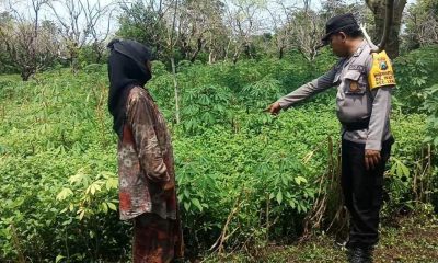 whatsapp image 2025 03 23 at 16.20.04 1488f004