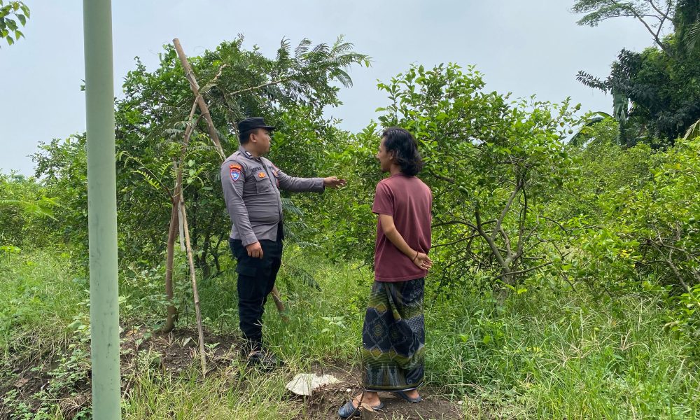 whatsapp image 2025 03 25 at 11.47.55