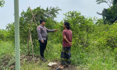 whatsapp image 2025 03 25 at 11.47.55