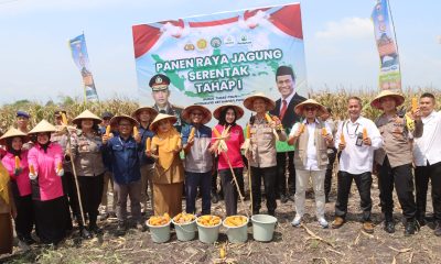 whatsapp image 2025 03 25 at 14.06.09(1)