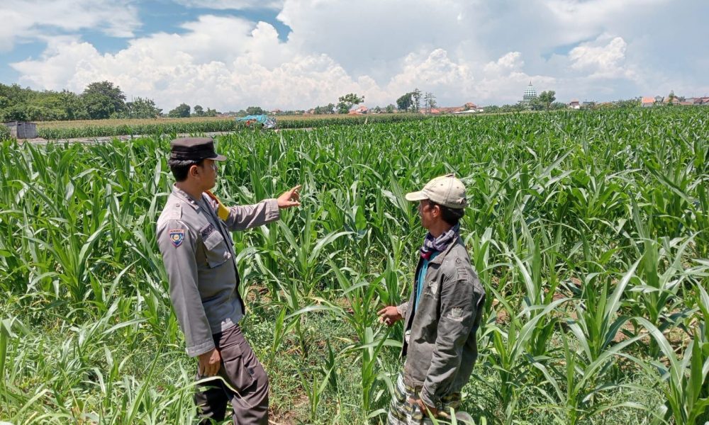 whatsapp image 2025 03 26 at 15.15.55 d50a5223