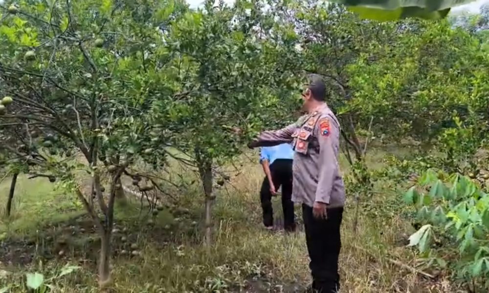 whatsapp image 2025 03 27 at 16.58.03