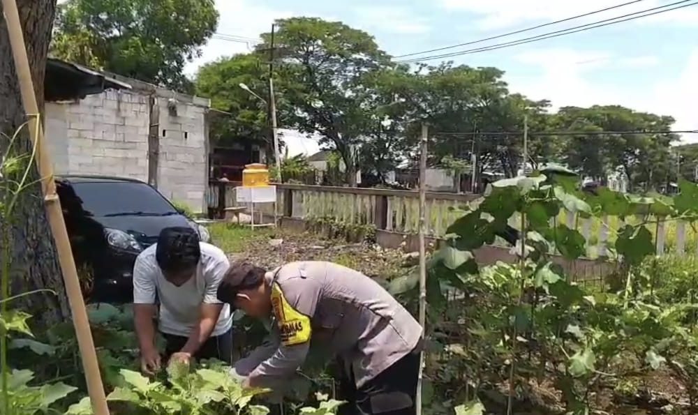 whatsapp image 2025 03 29 at 05.15.57