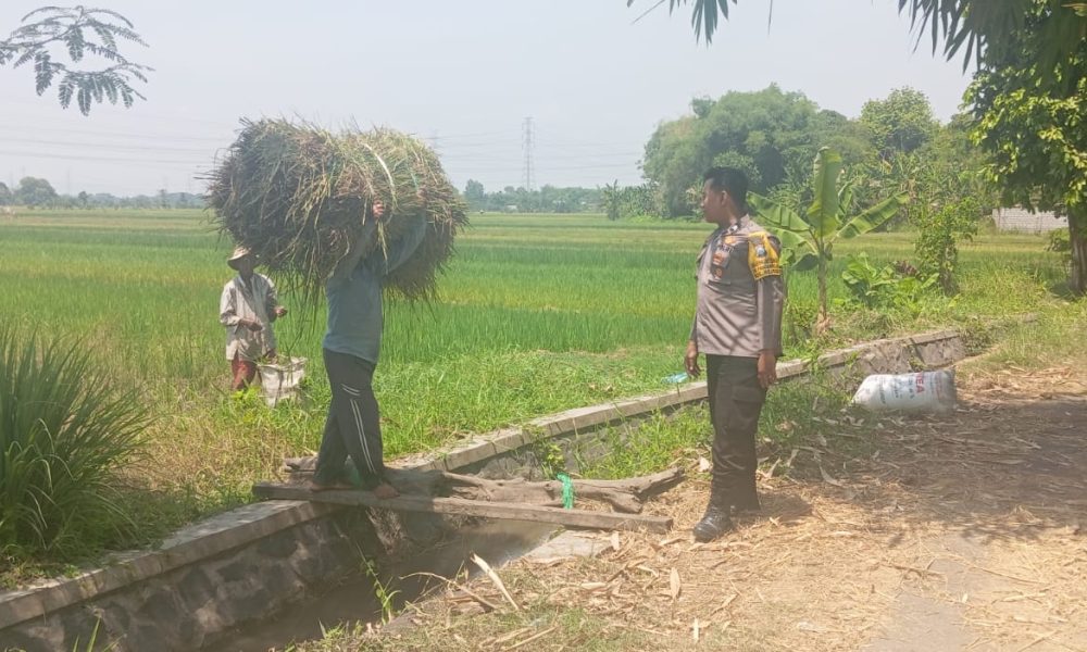 whatsapp image 2025 03 30 at 12.09.06