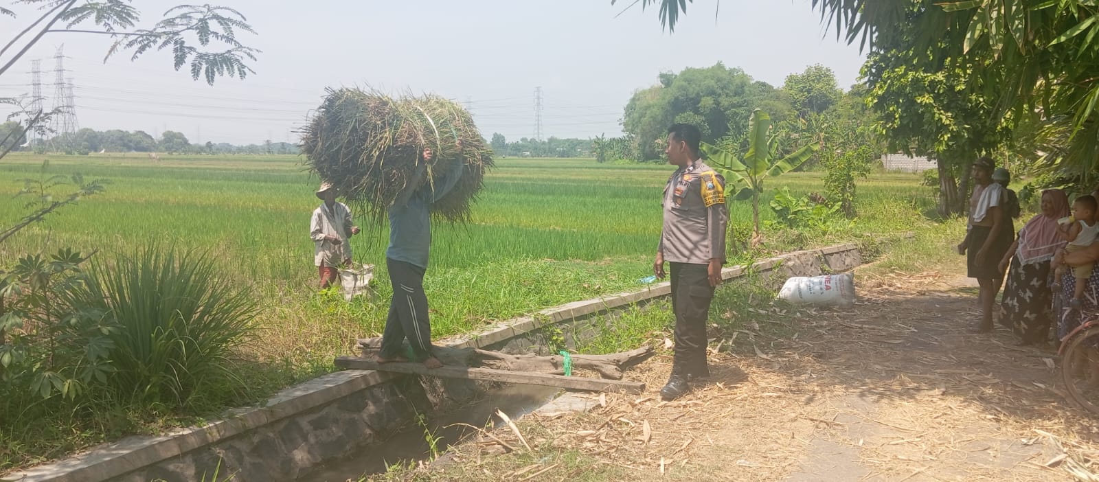 whatsapp image 2025 03 30 at 12.09.06