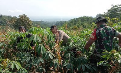 gambar whatsapp 2025 04 16 pukul 07.10.45 e58ac66b