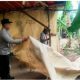 gambar whatsapp 2025 04 28 pukul 08.06.41 e0979884