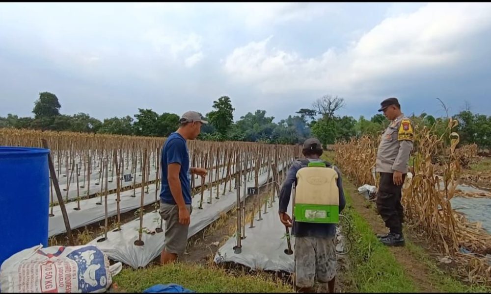 whatsapp image 2025 04 01 at 08.07.28 c09df3ba