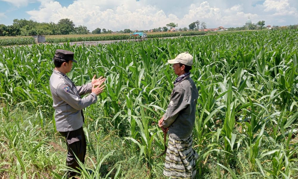 whatsapp image 2025 04 04 at 18.40.05 a69543be