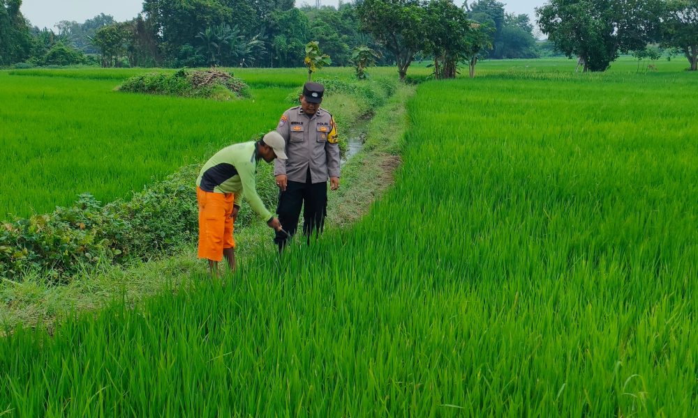 whatsapp image 2025 04 05 at 11.32.49 5c30ccbe