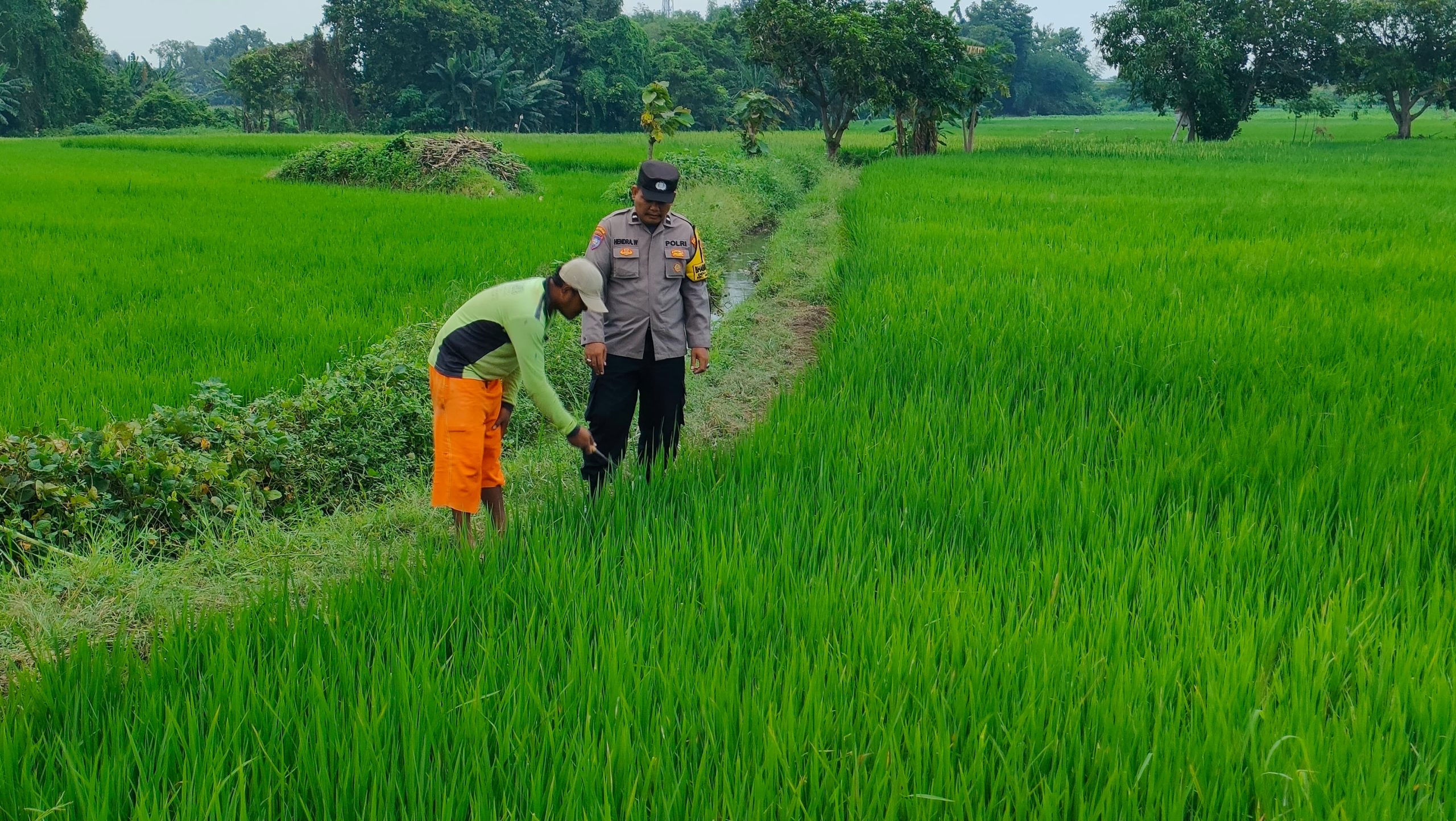 whatsapp image 2025 04 05 at 11.32.49 5c30ccbe