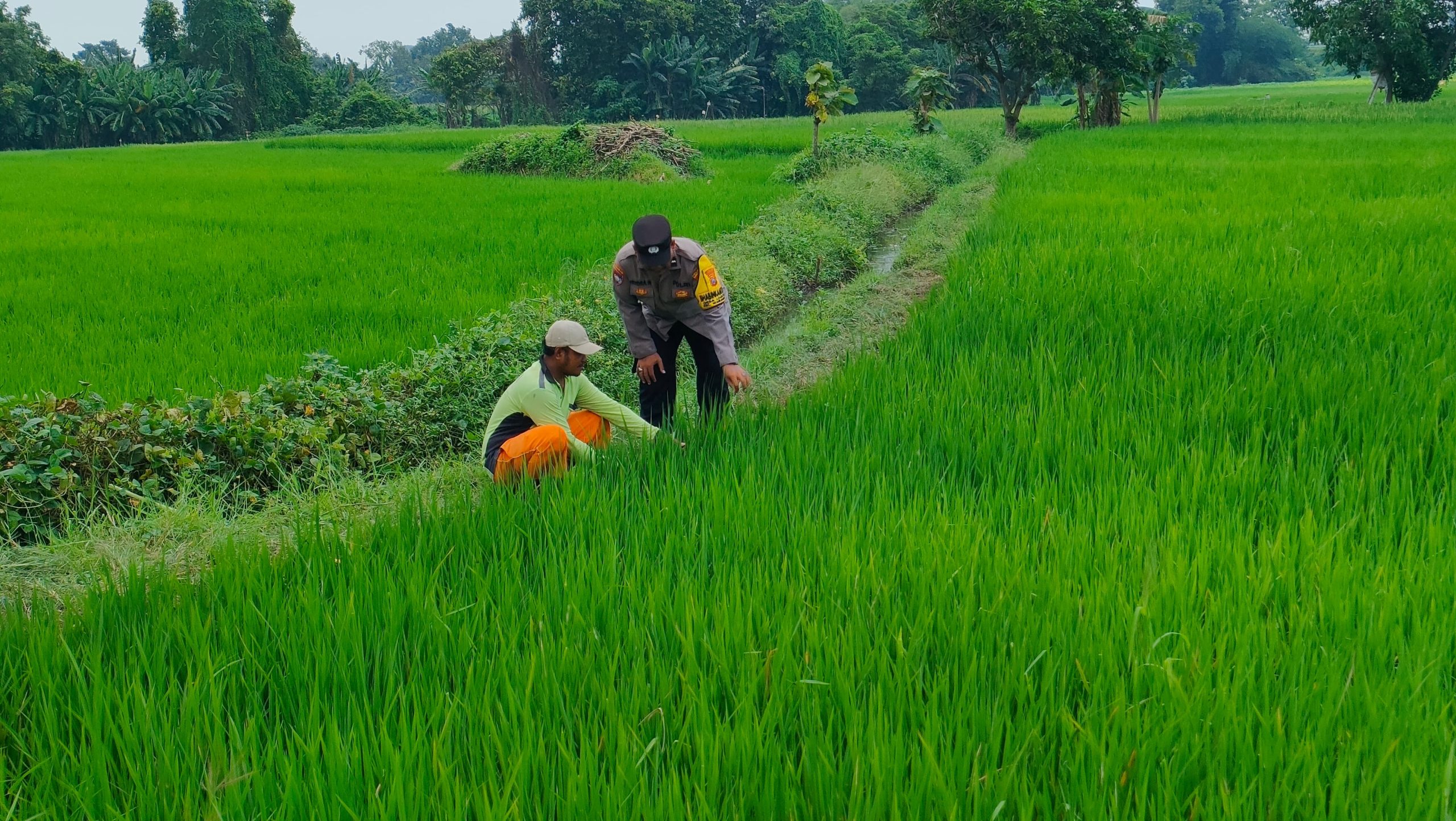 whatsapp image 2025 04 05 at 11.32.50 e92b81e5