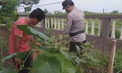 whatsapp image 2025 04 07 at 05.07.19