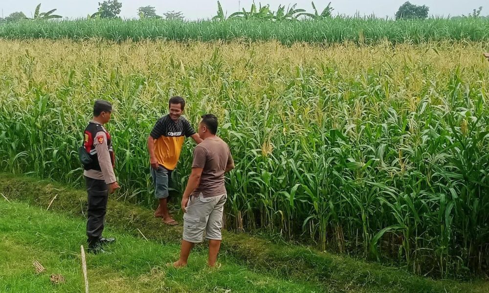 whatsapp image 2025 04 09 at 10.42.38 e7c54ea5