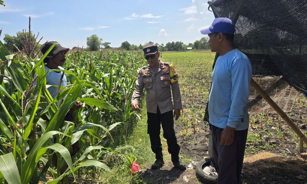 whatsapp image 2025 04 10 at 12.11.03 27a9e24e