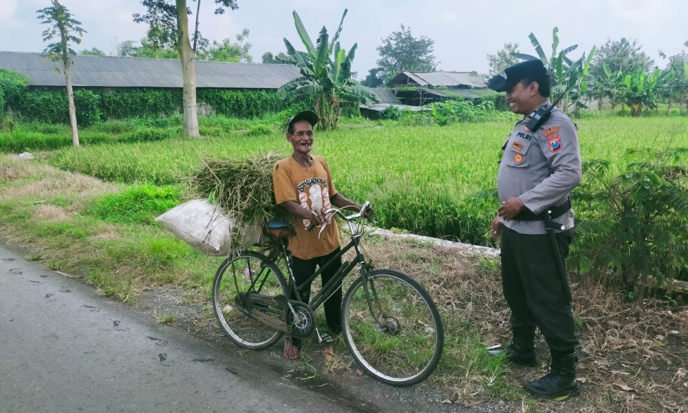 whatsapp image 2025 04 11 at 05.16.45