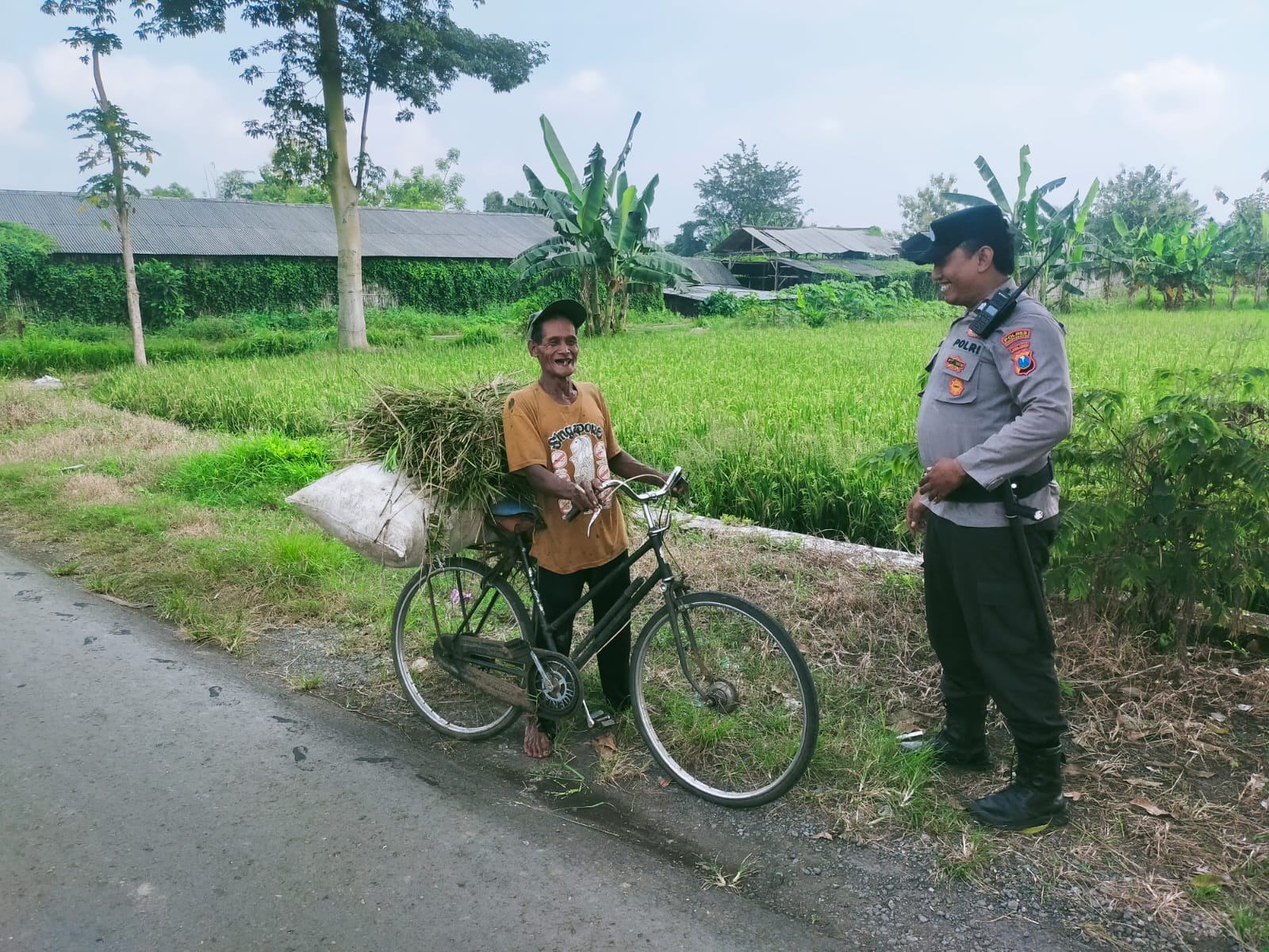 whatsapp image 2025 04 11 at 05.16.45