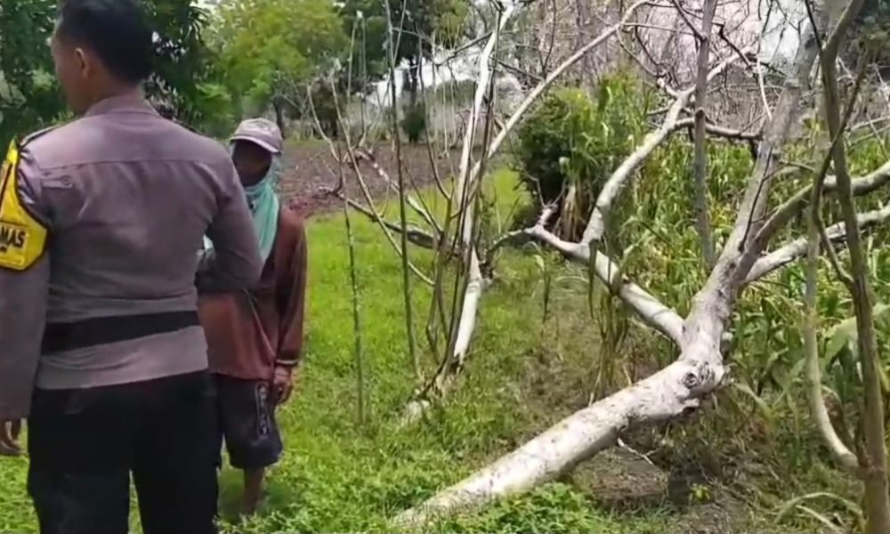 whatsapp image 2025 04 12 at 12.01.06