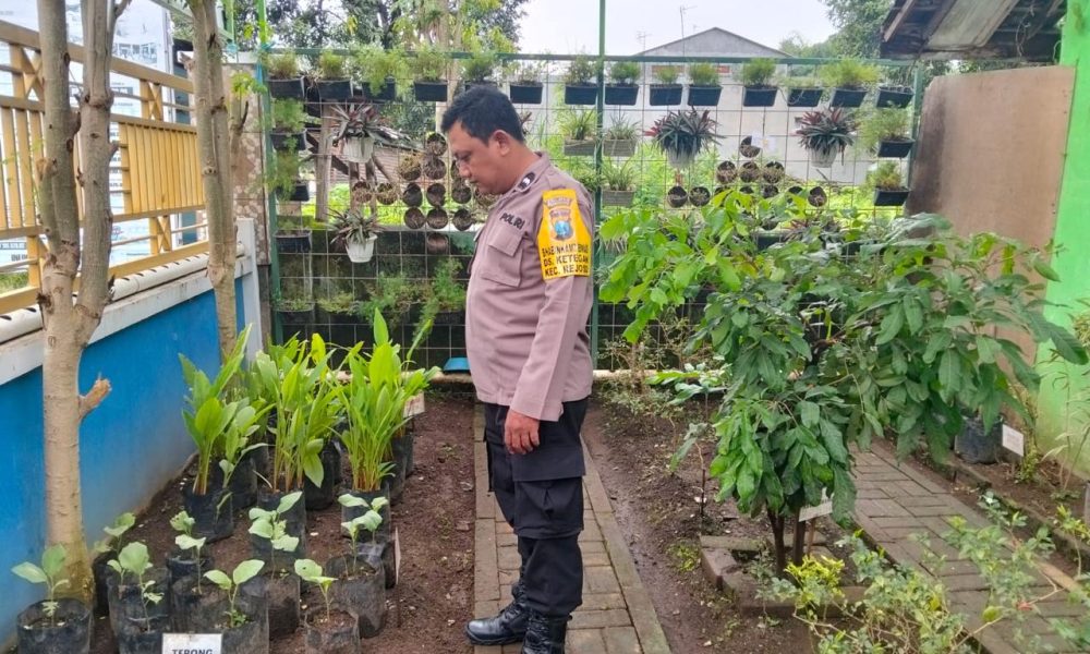 whatsapp image 2025 04 14 at 15.56.12 9f4755d8