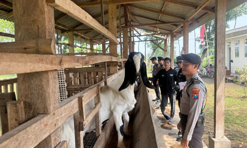 whatsapp image 2025 04 15 at 17.18.53 116a9ae2