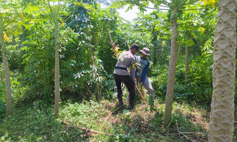 whatsapp image 2025 04 16 at 10.43.19