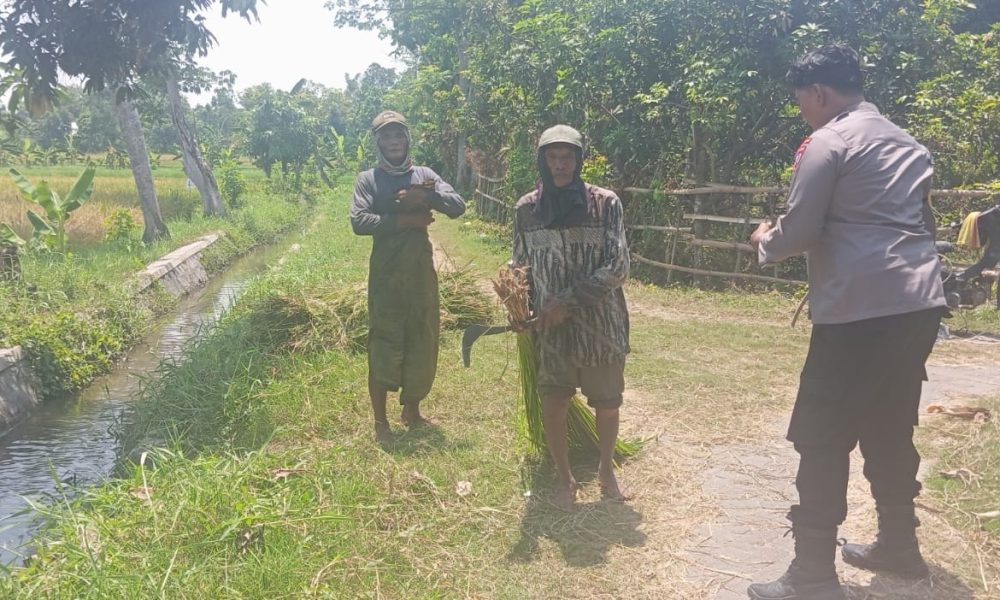 whatsapp image 2025 04 17 at 03.34.50