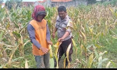 whatsapp image 2025 04 24 at 17.30.36