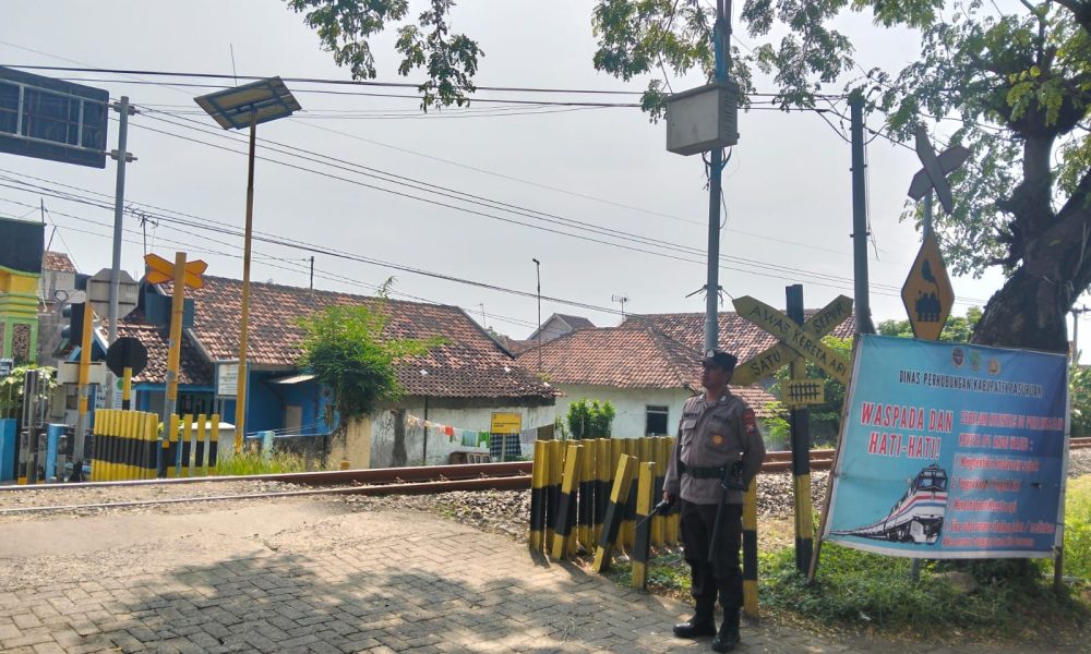 whatsapp image 2025 04 24 at 18.39.51