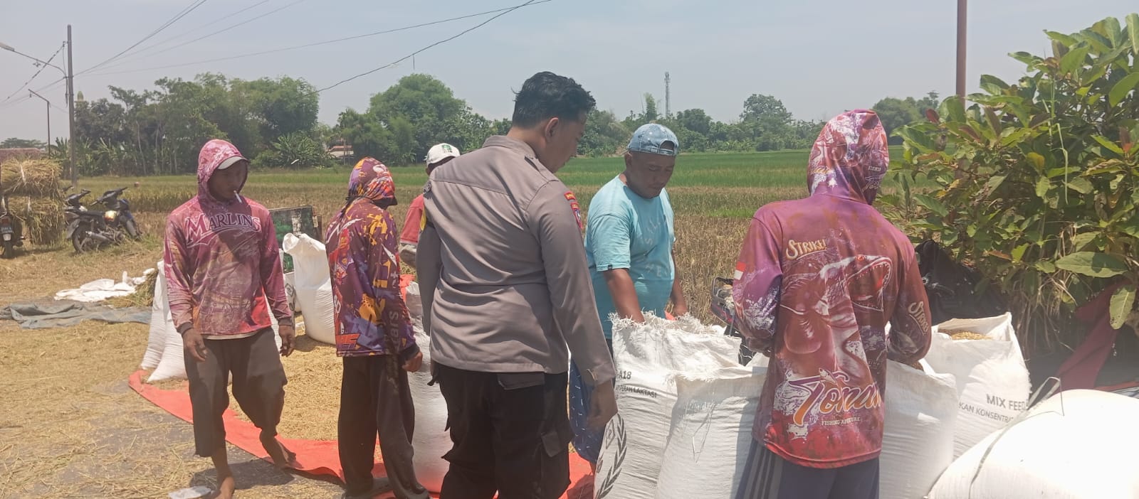 whatsapp image 2025 04 25 at 10.42.07